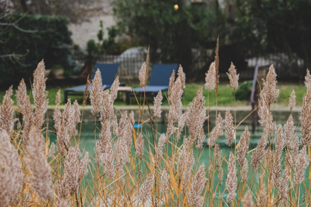 나르본 Waya A Domaine Saint Domingue B&B 외부 사진