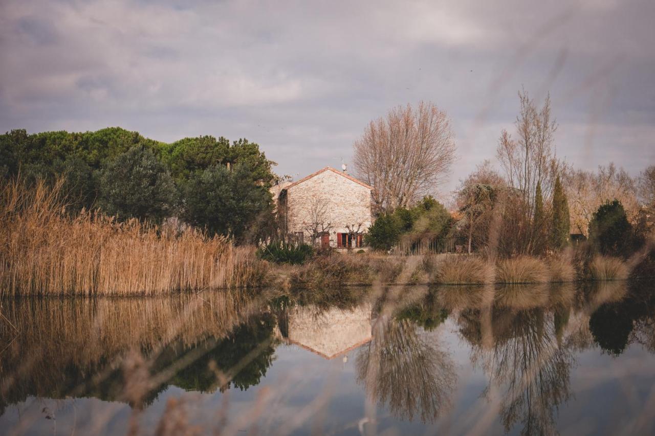 나르본 Waya A Domaine Saint Domingue B&B 외부 사진